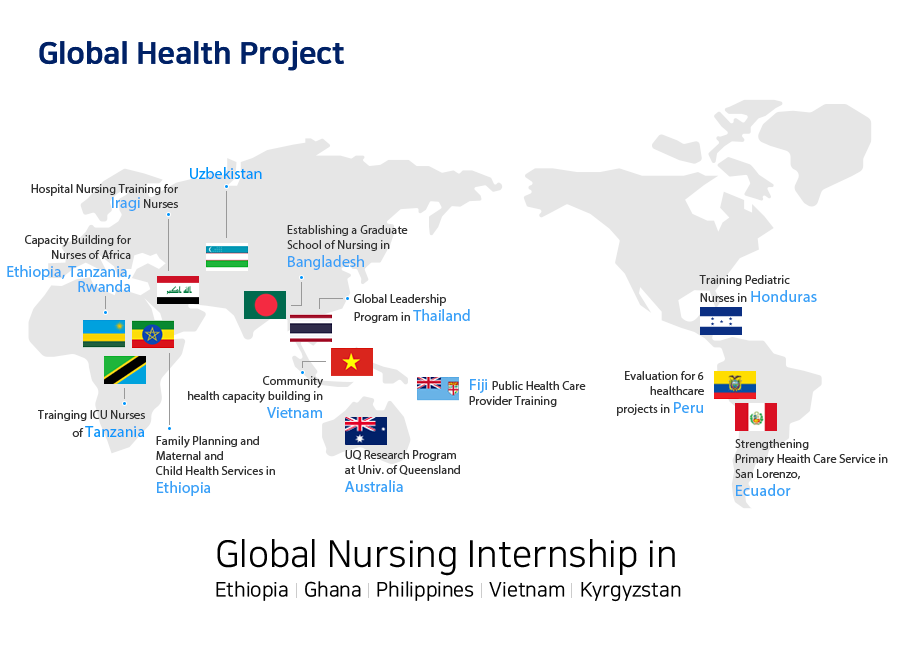 Global Health Project Image